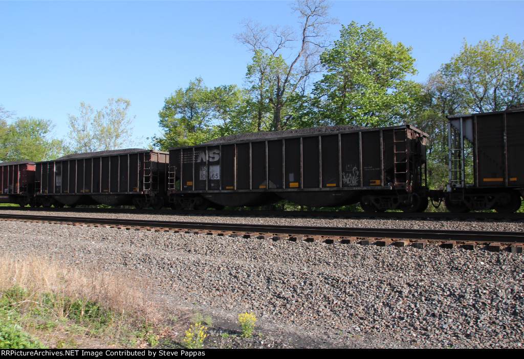 NS 10165